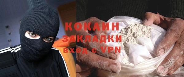 гидра Богородск