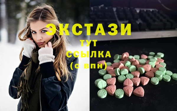 гидра Богородск